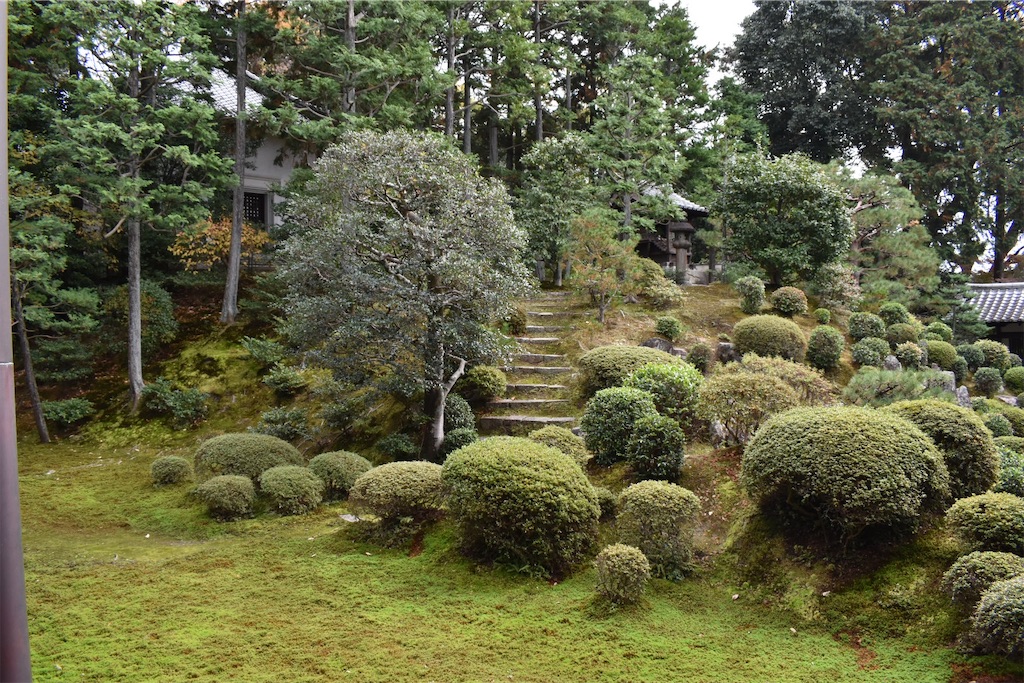 f:id:matsumotoyusuke:20210403203247j:image f:id:matsumotoyusuke:20210403203247j:image