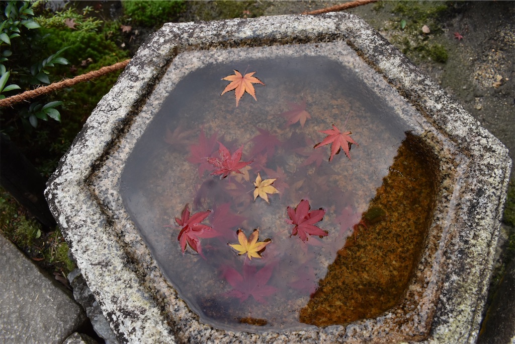 f:id:matsumotoyusuke:20210403203654j:image f:id:matsumotoyusuke:20210403203654j:image