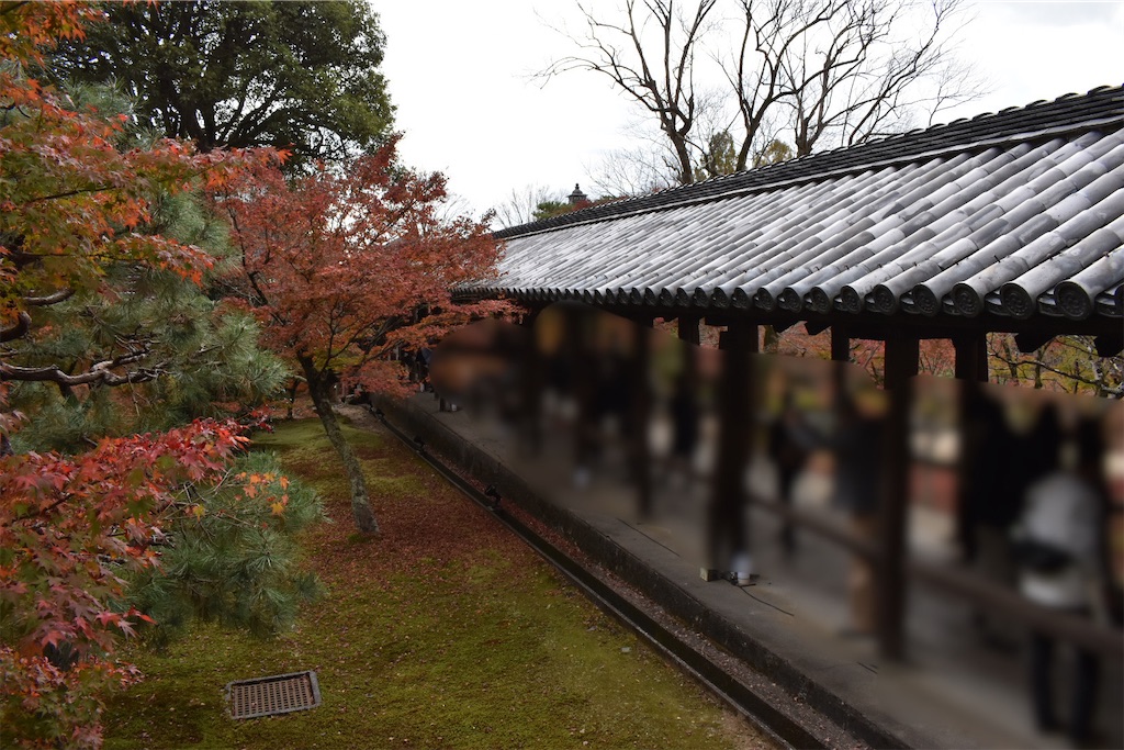 f:id:matsumotoyusuke:20210403203710j:image f:id:matsumotoyusuke:20210403203710j:image