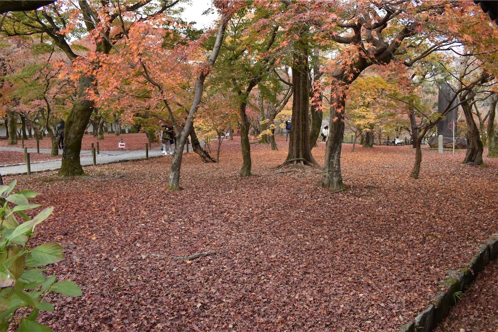 f:id:matsumotoyusuke:20210403204134j:image f:id:matsumotoyusuke:20210403204134j:image