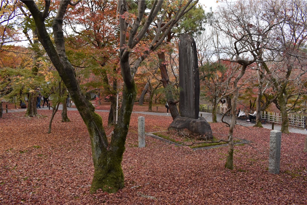 f:id:matsumotoyusuke:20210403204509j:image f:id:matsumotoyusuke:20210403204509j:image