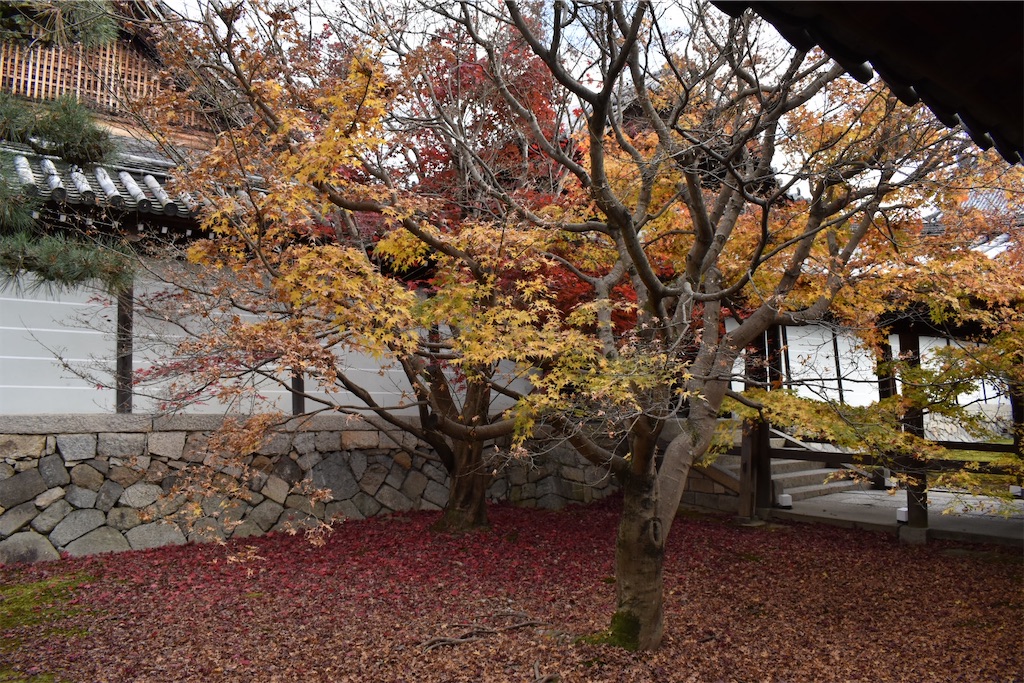 f:id:matsumotoyusuke:20210403204516j:image f:id:matsumotoyusuke:20210403204516j:image