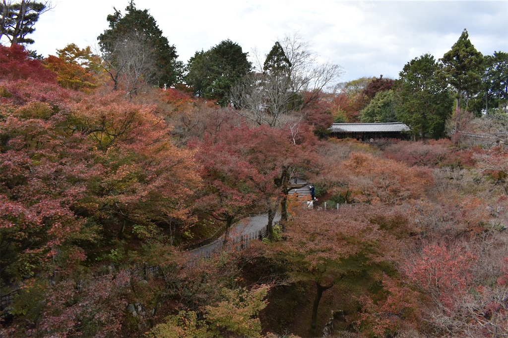 f:id:matsumotoyusuke:20210403204522j:image f:id:matsumotoyusuke:20210403204522j:image