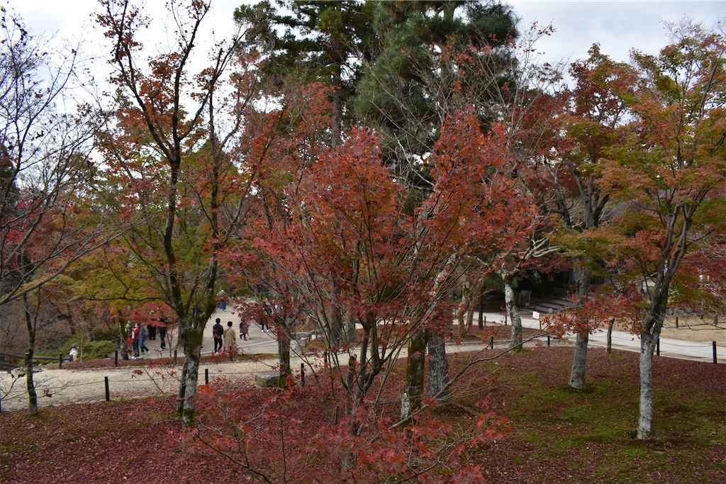 f:id:matsumotoyusuke:20210403204531j:image f:id:matsumotoyusuke:20210403204531j:image
