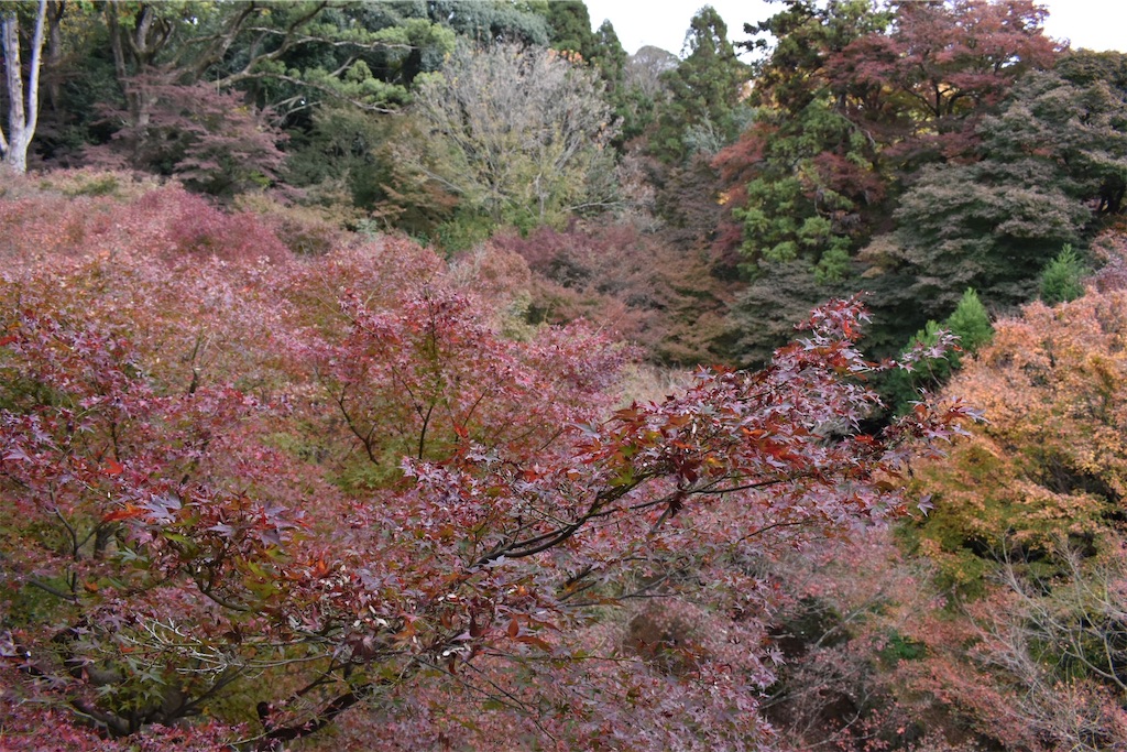 f:id:matsumotoyusuke:20210403204539j:image f:id:matsumotoyusuke:20210403204539j:image