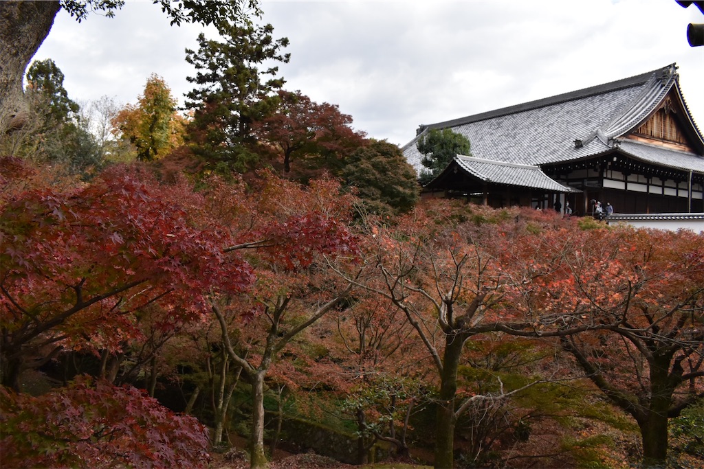 f:id:matsumotoyusuke:20210403204547j:image 東福寺の紅葉