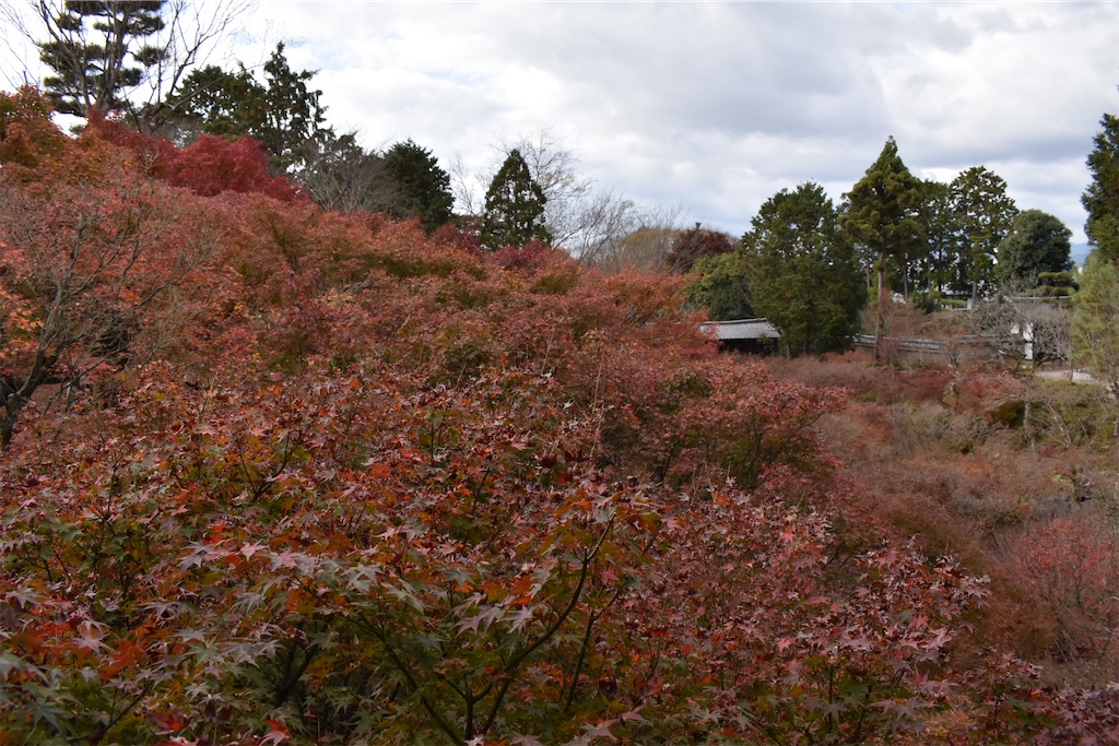 f:id:matsumotoyusuke:20210403204558j:image f:id:matsumotoyusuke:20210403204558j:image