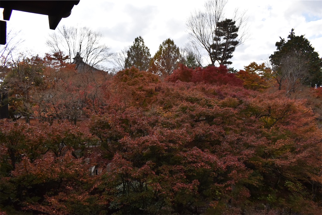 f:id:matsumotoyusuke:20210403204605j:image f:id:matsumotoyusuke:20210403204605j:image