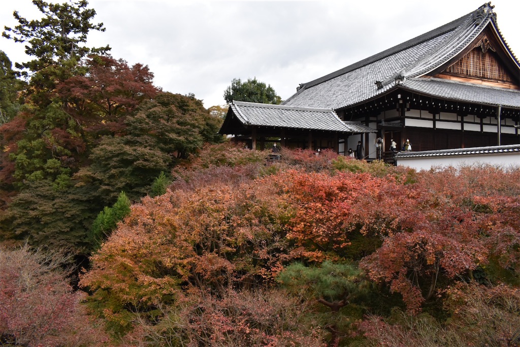 f:id:matsumotoyusuke:20210403204612j:image f:id:matsumotoyusuke:20210403204612j:image
