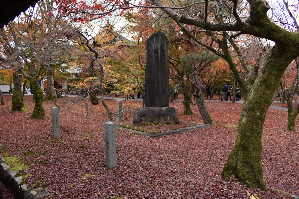 f:id:matsumotoyusuke:20210403204619j:image f:id:matsumotoyusuke:20210403204619j:image