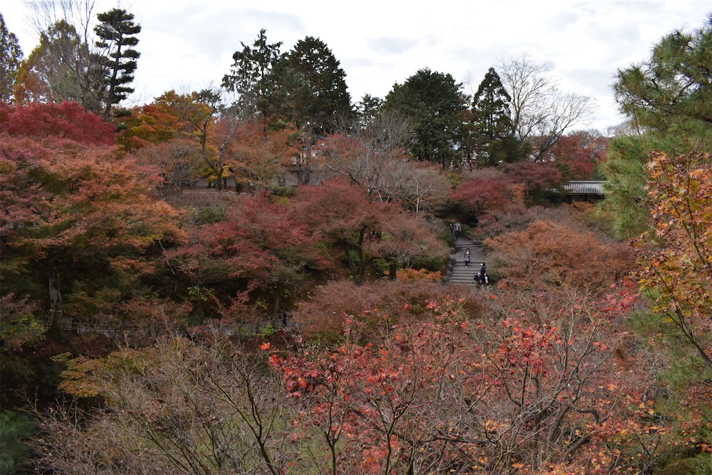 f:id:matsumotoyusuke:20210403204626j:image f:id:matsumotoyusuke:20210403204626j:image