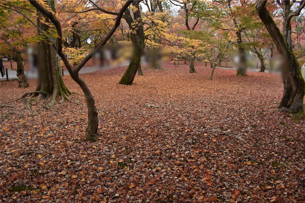 f:id:matsumotoyusuke:20210403204707j:image f:id:matsumotoyusuke:20210403204707j:image