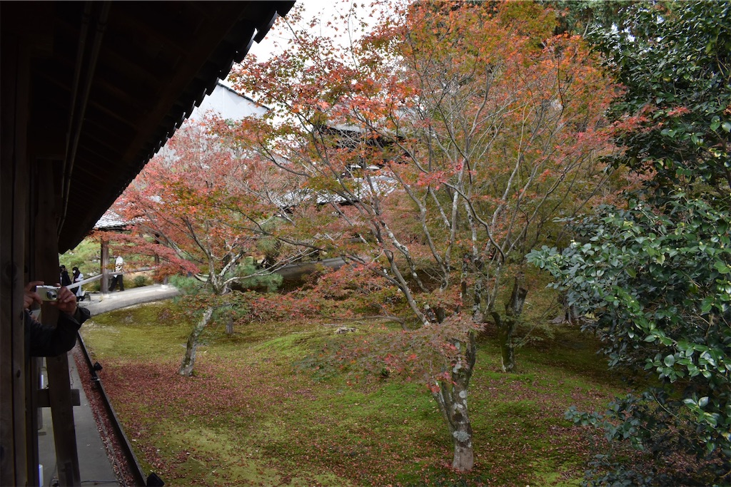 f:id:matsumotoyusuke:20210403211918j:image f:id:matsumotoyusuke:20210403211918j:image
