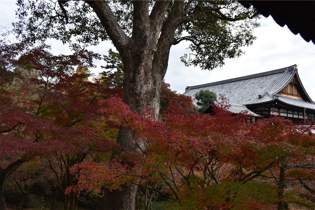 f:id:matsumotoyusuke:20210403211923j:image f:id:matsumotoyusuke:20210403211923j:image