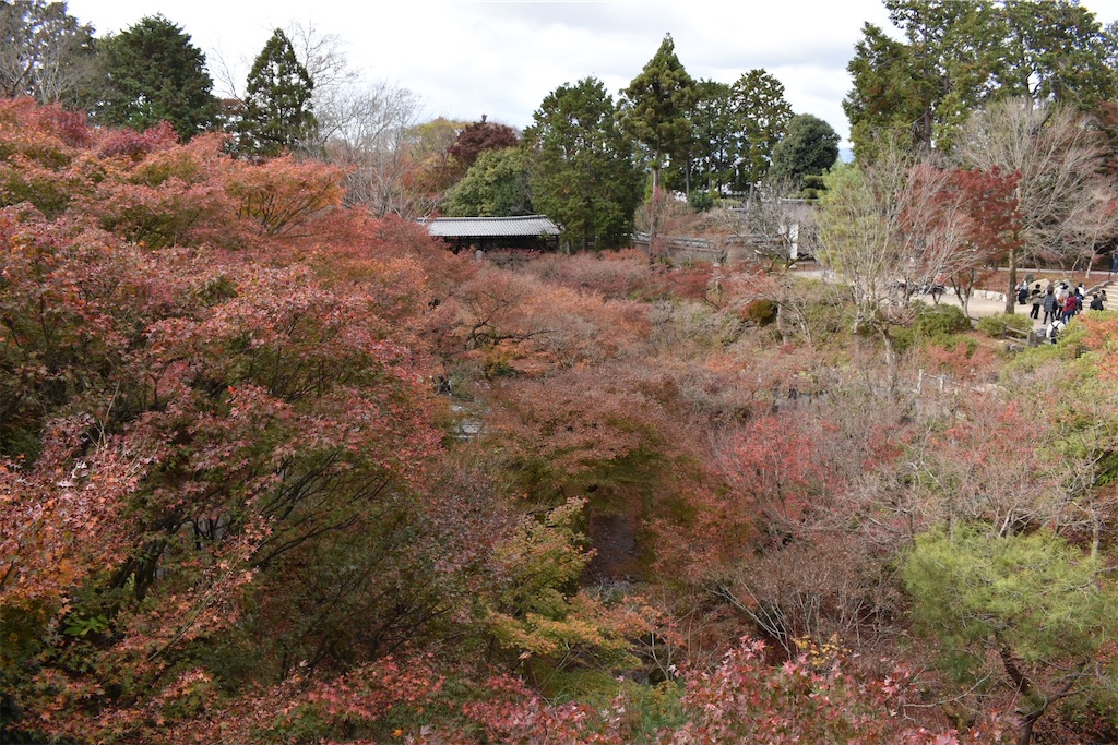 f:id:matsumotoyusuke:20210403211931j:image f:id:matsumotoyusuke:20210403211931j:image