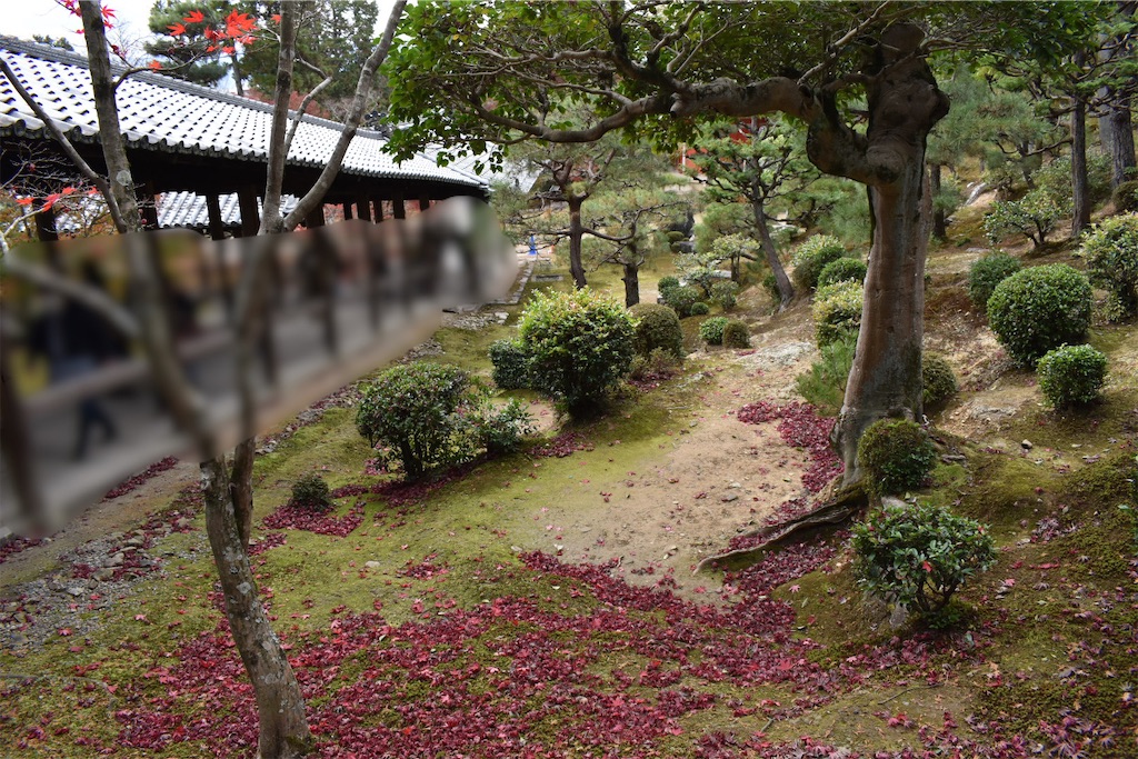 f:id:matsumotoyusuke:20210403211937j:image f:id:matsumotoyusuke:20210403211937j:image