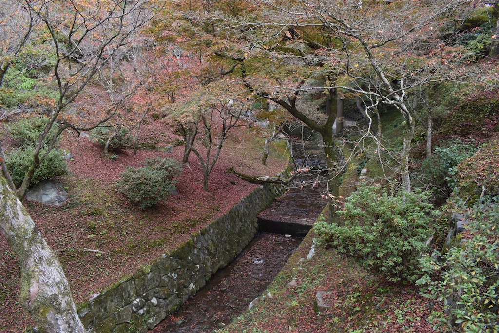 f:id:matsumotoyusuke:20210403211945j:image f:id:matsumotoyusuke:20210403211945j:image