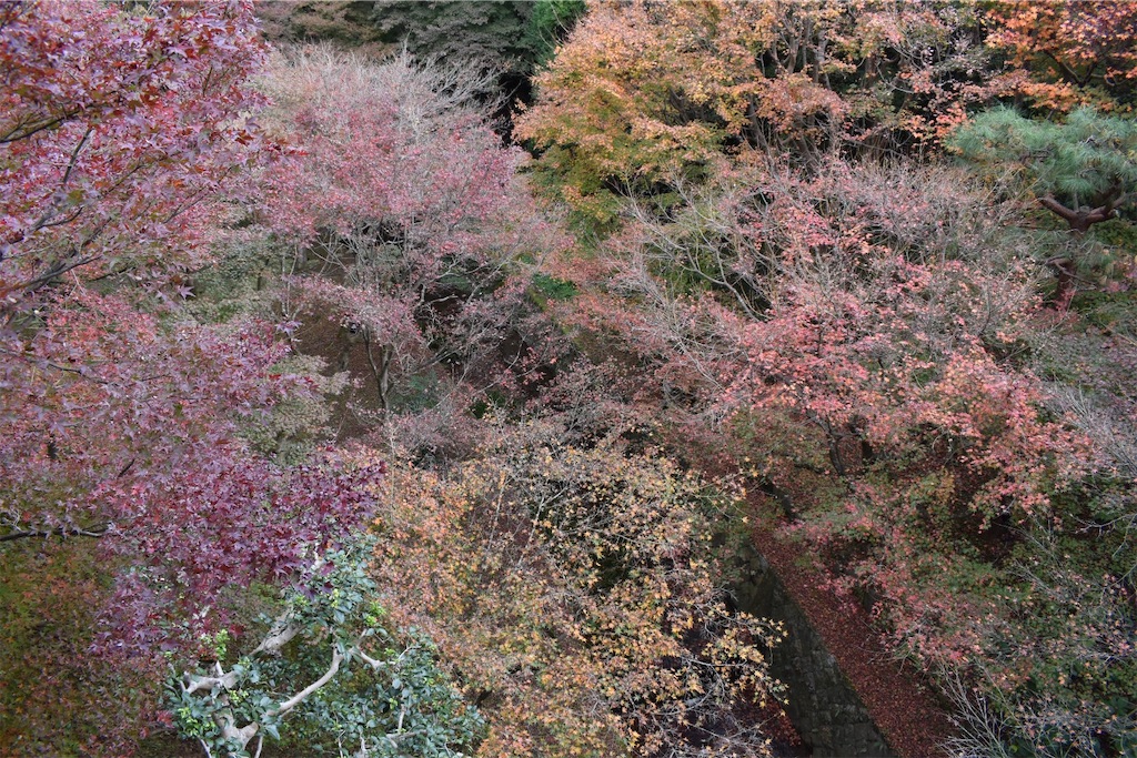 f:id:matsumotoyusuke:20210403211952j:image f:id:matsumotoyusuke:20210403211952j:image