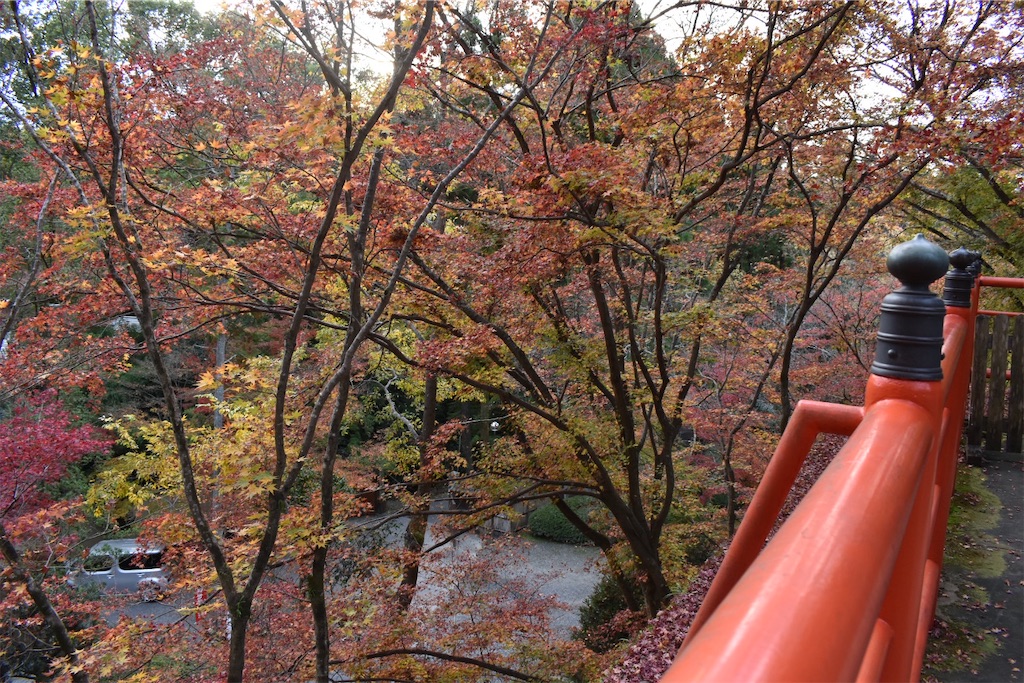 f:id:matsumotoyusuke:20210404132947j:image
