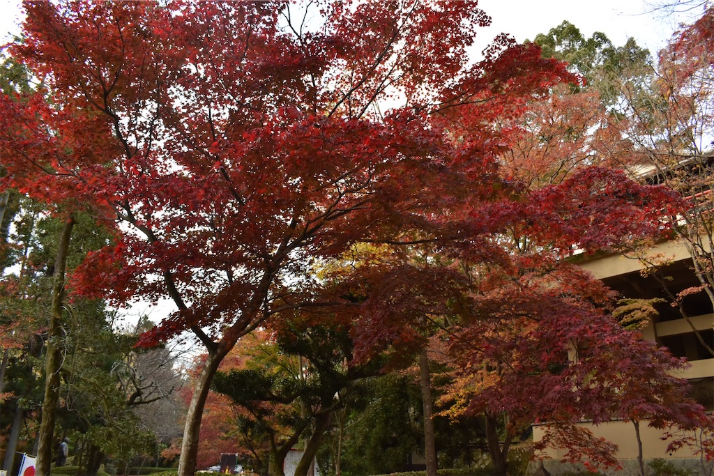 f:id:matsumotoyusuke:20210404133058j:image