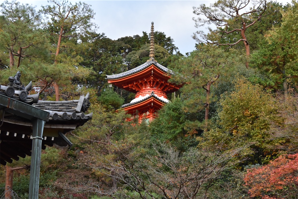 f:id:matsumotoyusuke:20210404133112j:image