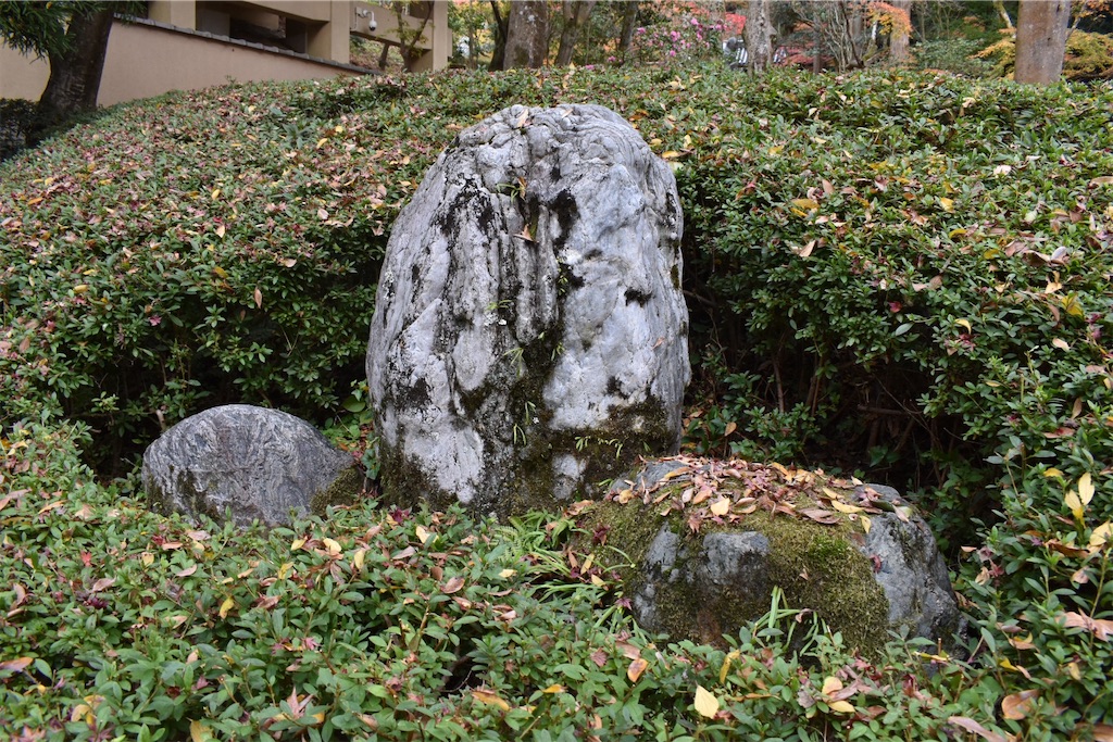 f:id:matsumotoyusuke:20210404133120j:image
