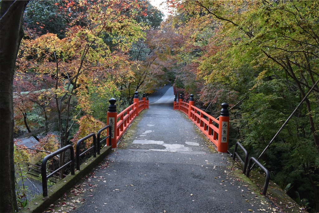 f:id:matsumotoyusuke:20210404133134j:image