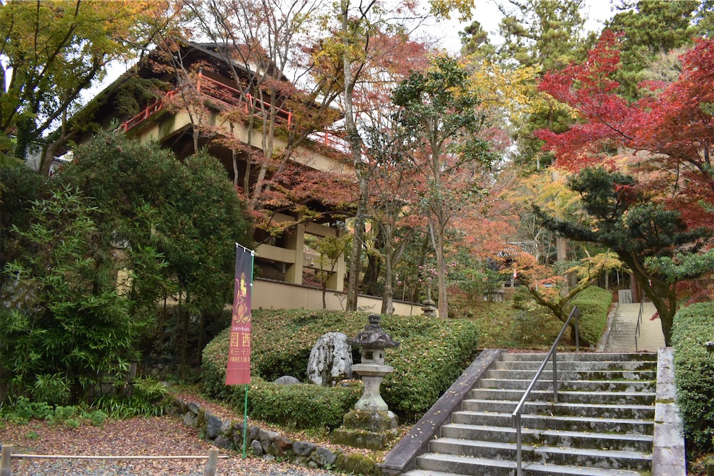 f:id:matsumotoyusuke:20210404133140j:image