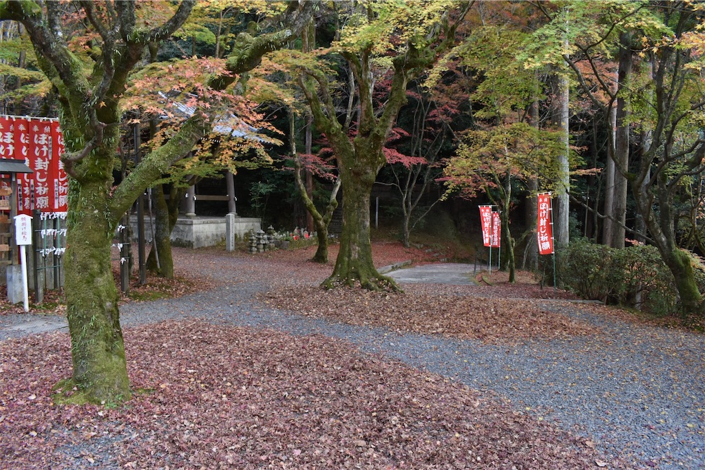 f:id:matsumotoyusuke:20210404133147j:image