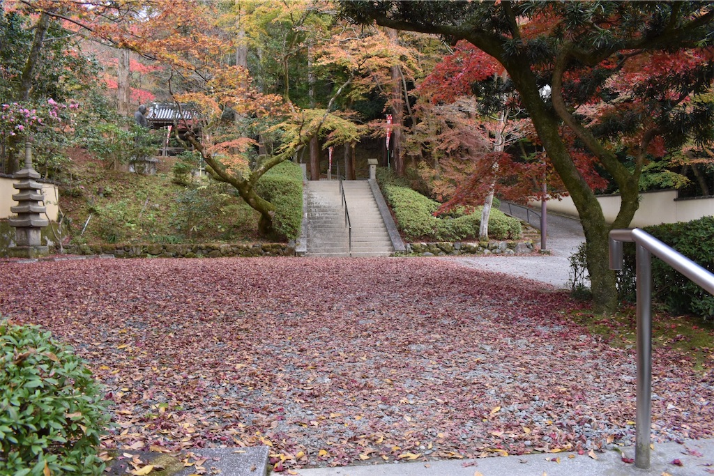 f:id:matsumotoyusuke:20210404133155j:image