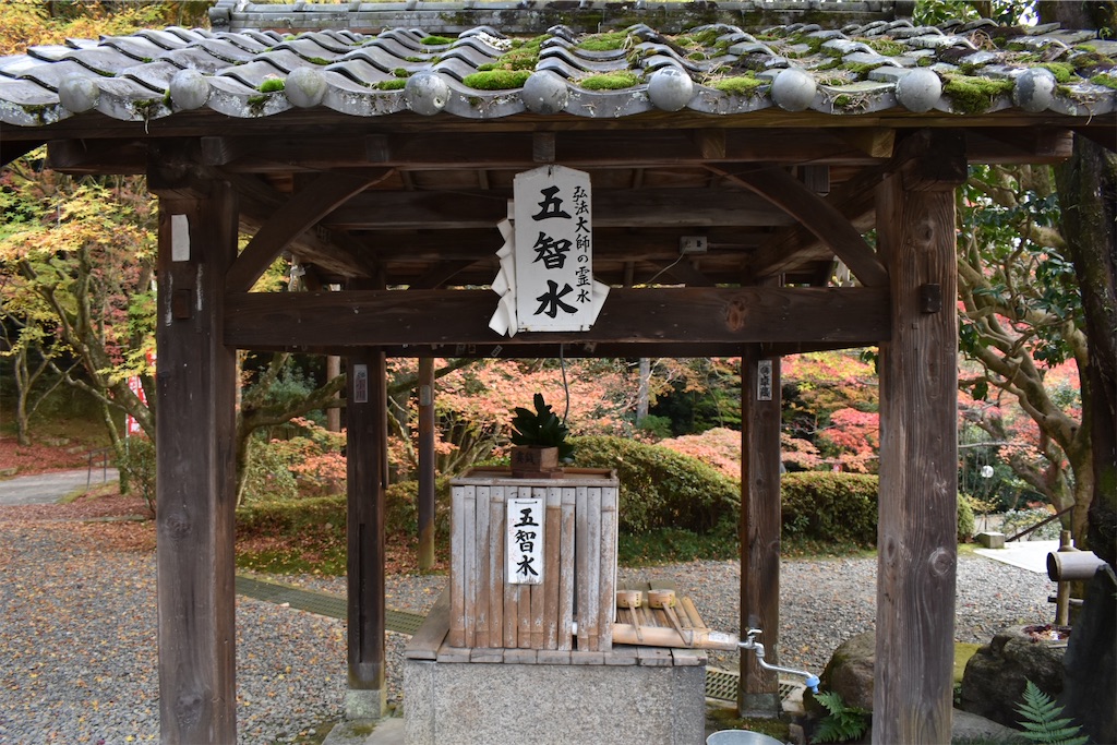 f:id:matsumotoyusuke:20210404133211j:image