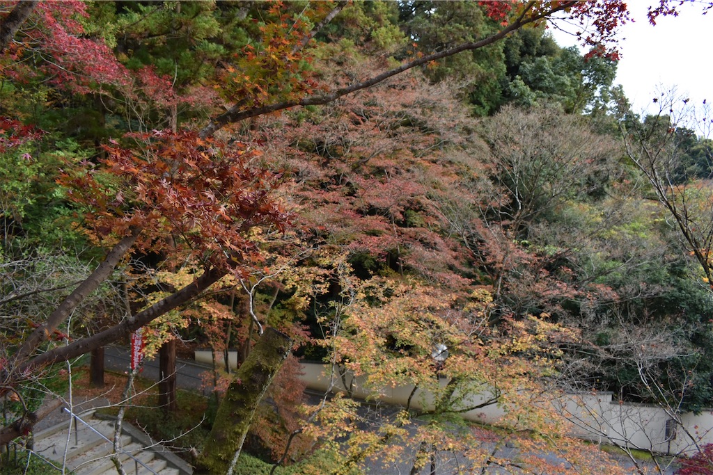 f:id:matsumotoyusuke:20210404133219j:image