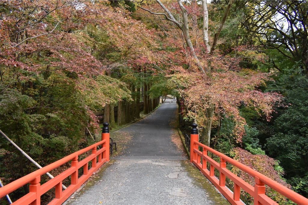 f:id:matsumotoyusuke:20210404133311j:image