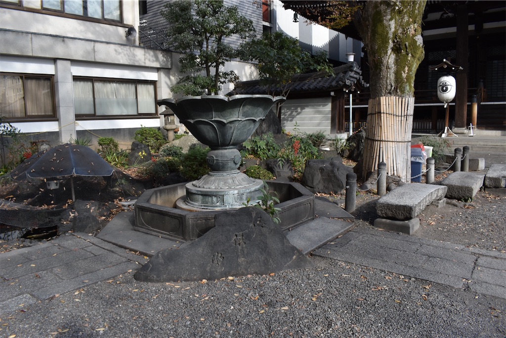 f:id:matsumotoyusuke:20210404135337j:image