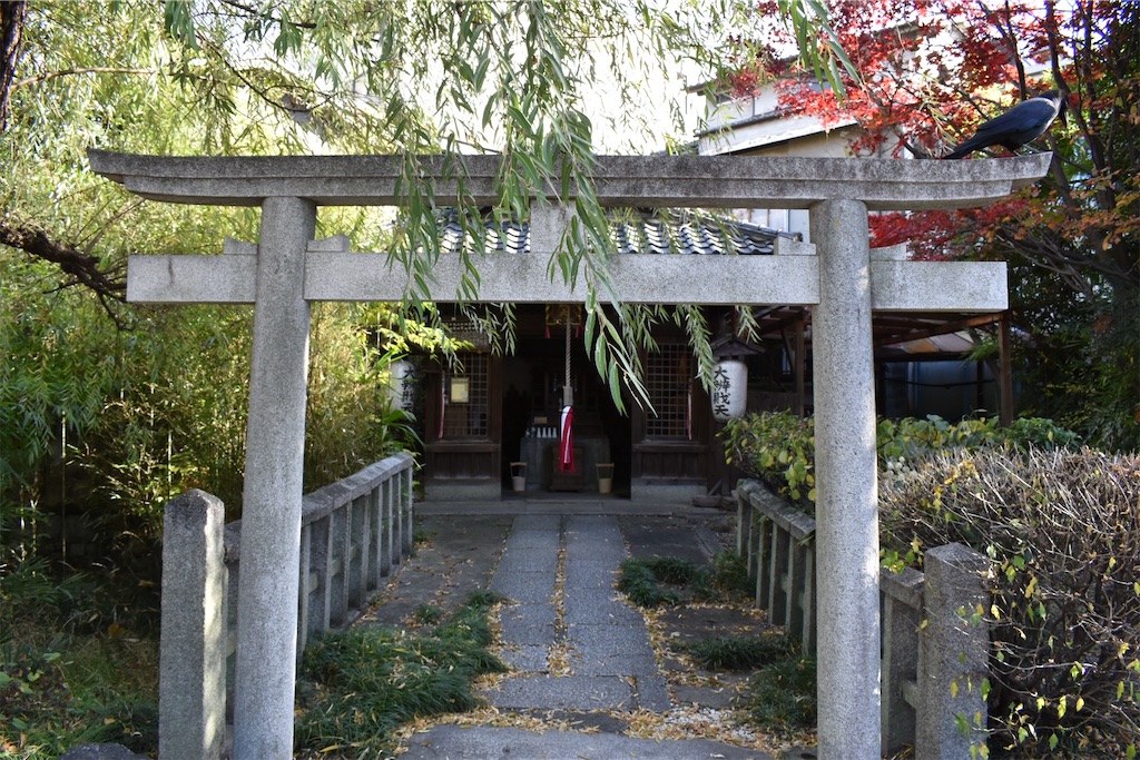 f:id:matsumotoyusuke:20210404135614j:image