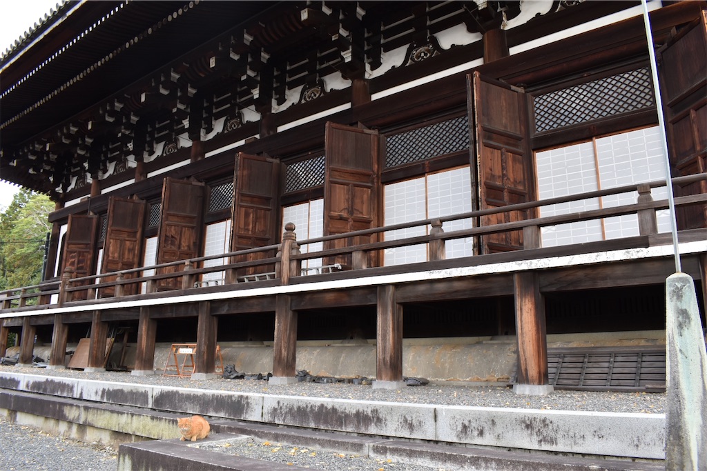 f:id:matsumotoyusuke:20210417112348j:image