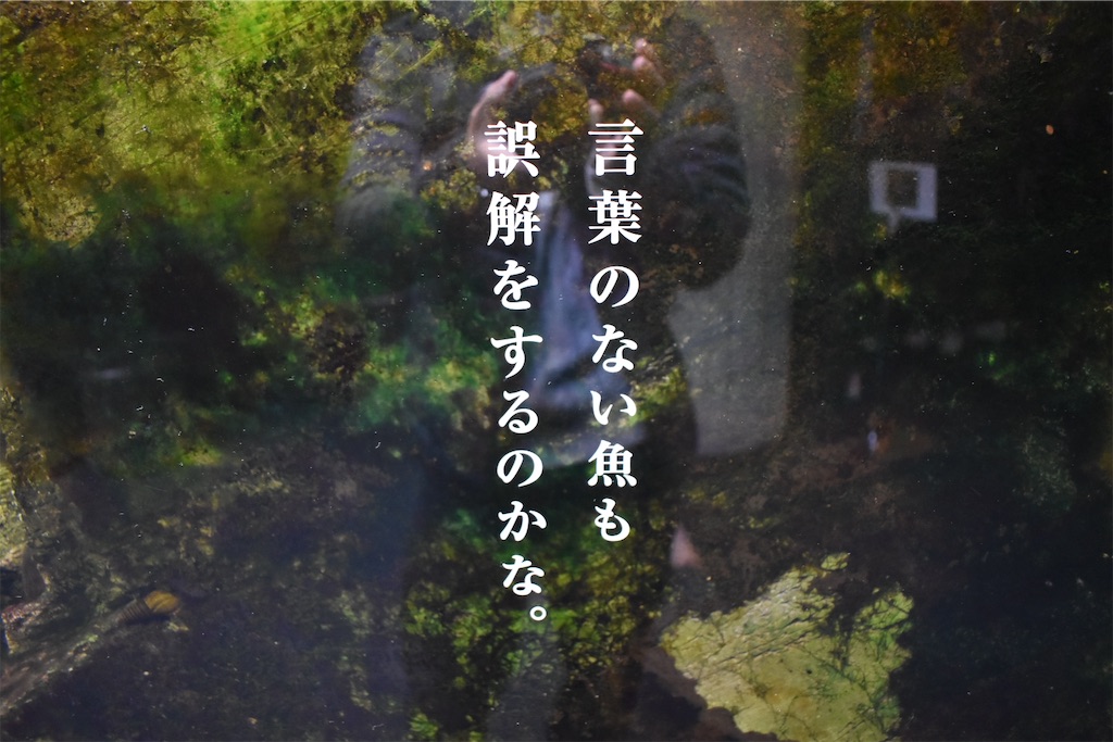 f:id:matsumotoyusuke:20210417132540j:image