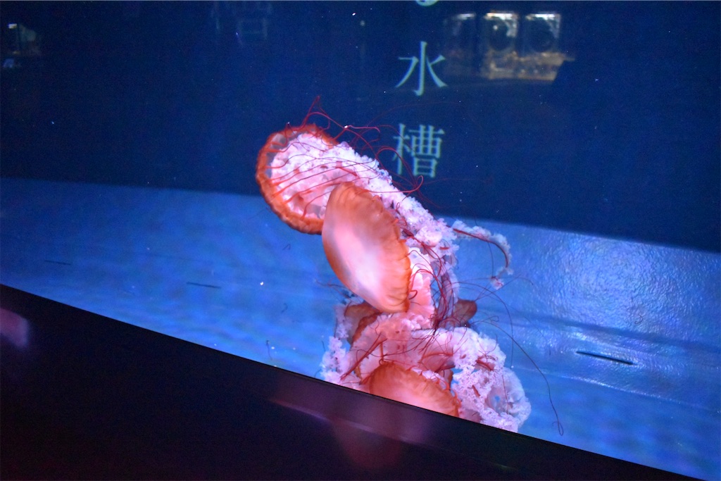 f:id:matsumotoyusuke:20210417133103j:image
