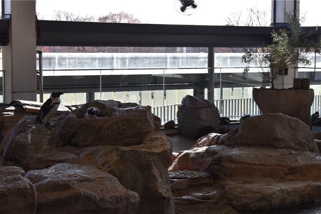 f:id:matsumotoyusuke:20210417133135j:image
