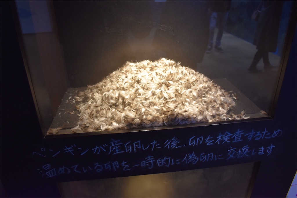 f:id:matsumotoyusuke:20210417133653j:image