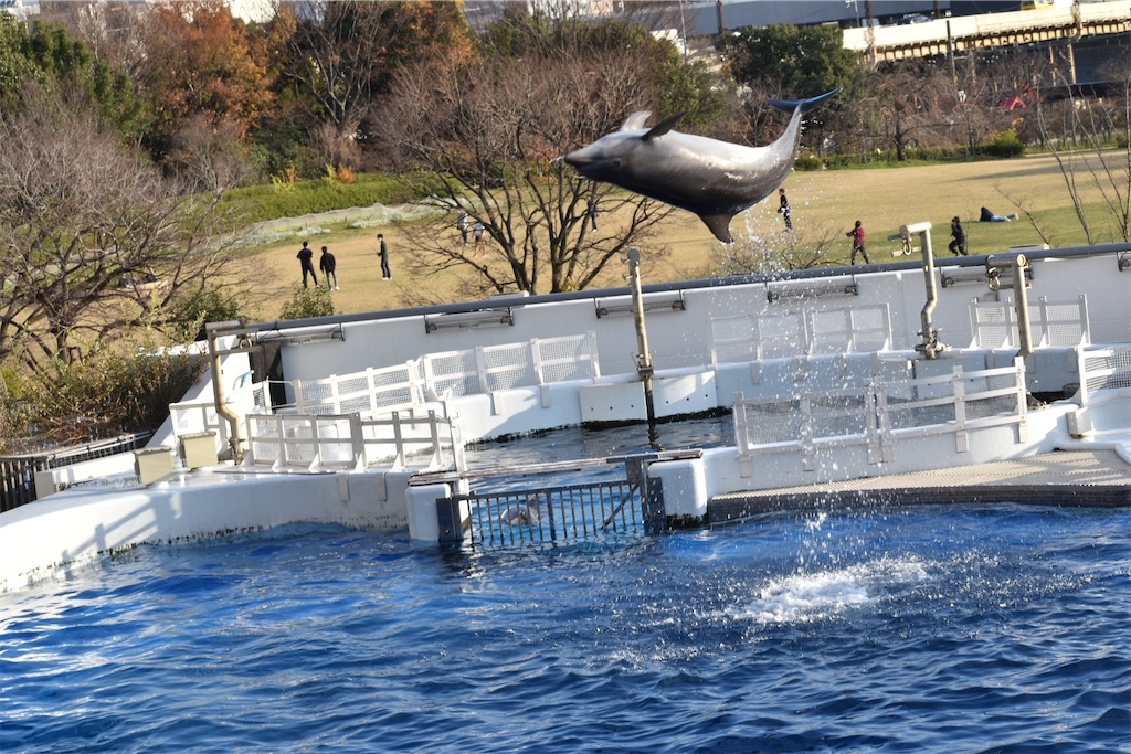 f:id:matsumotoyusuke:20210417135044j:image