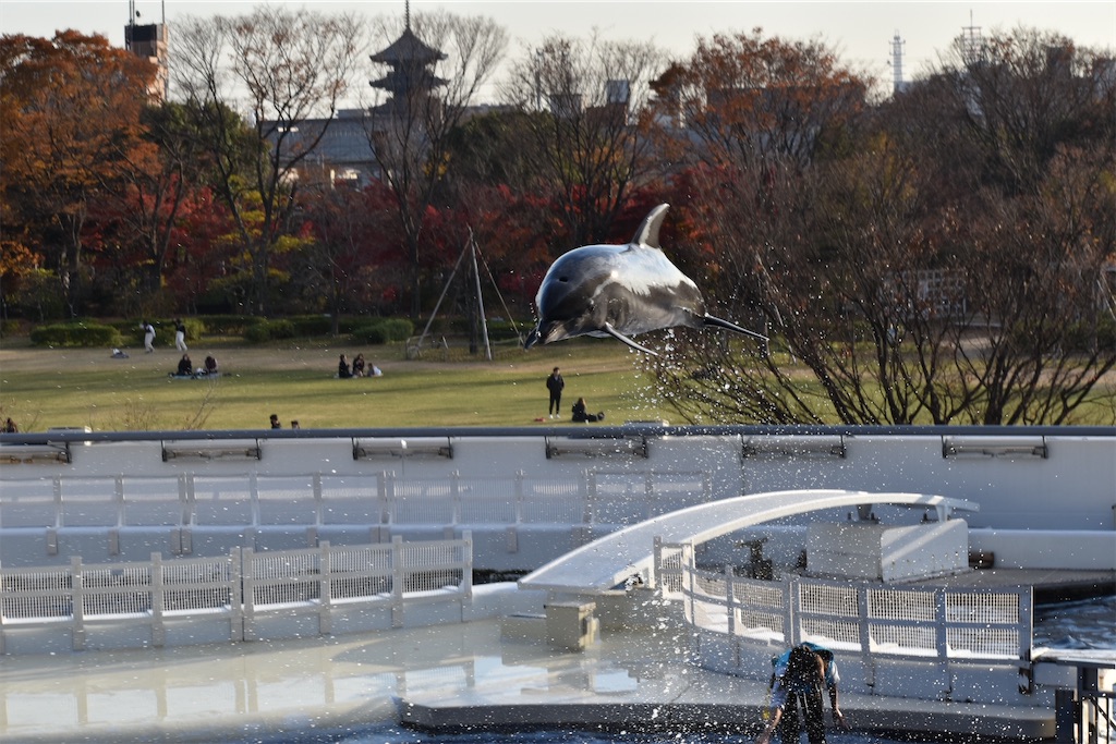 f:id:matsumotoyusuke:20210417135050j:image