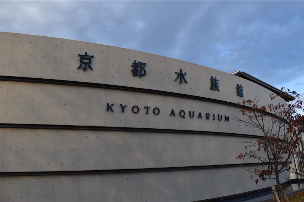 f:id:matsumotoyusuke:20210417135150j:image