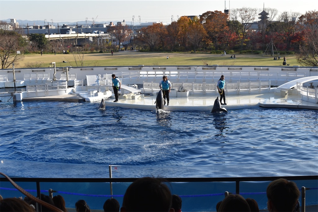 f:id:matsumotoyusuke:20210417135232j:image