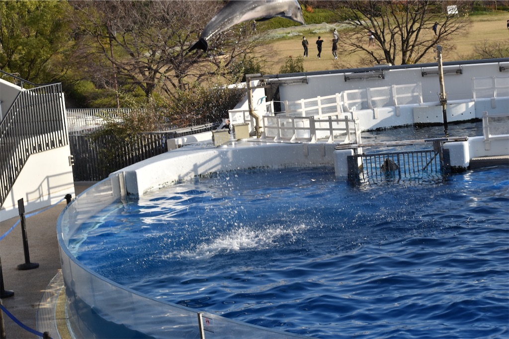 f:id:matsumotoyusuke:20210417135315j:image