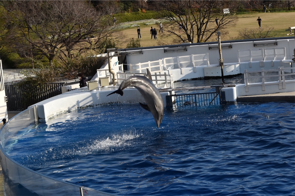 f:id:matsumotoyusuke:20210417135441j:image