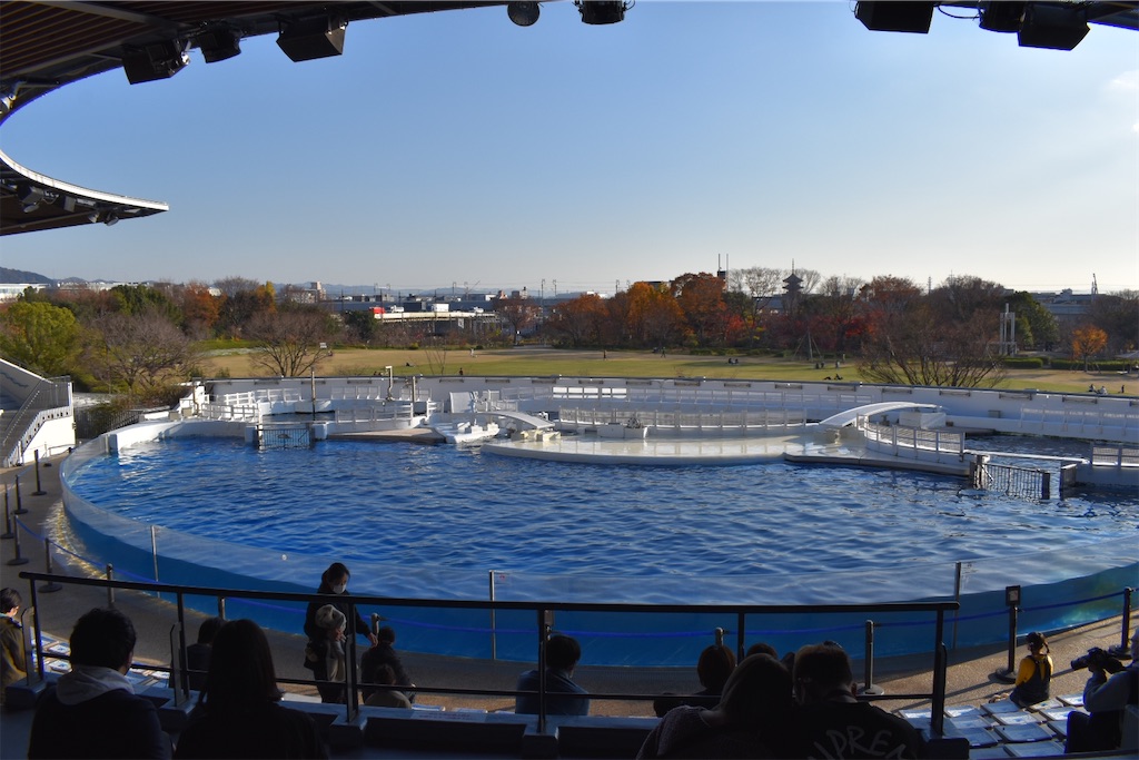 f:id:matsumotoyusuke:20210417135500j:image