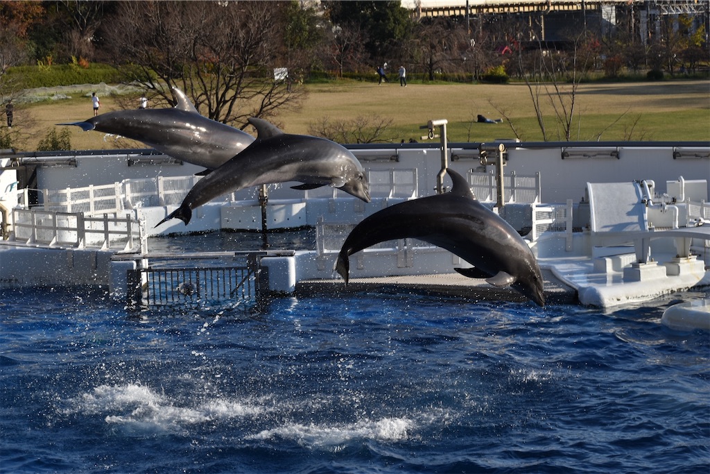 f:id:matsumotoyusuke:20210417135522j:image