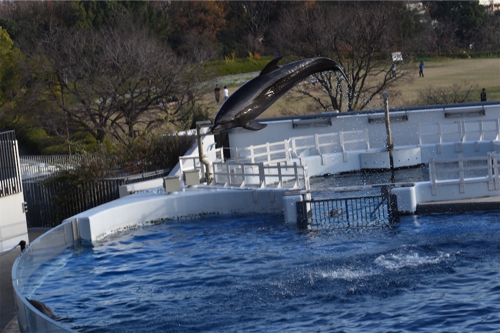 f:id:matsumotoyusuke:20210417135545j:image
