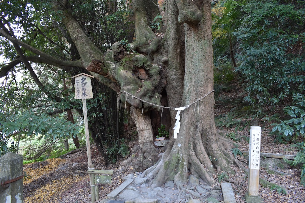 f:id:matsumotoyusuke:20230409215841j:image